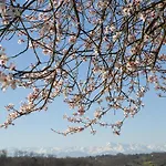 La Maison De לינה וארוחת בוקר Bazugues