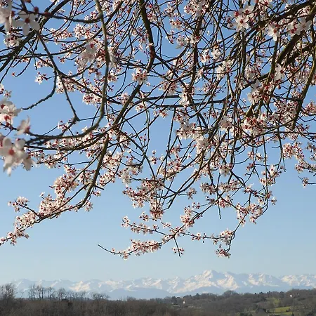 La Maison De Alojamento de Acomodação e Pequeno-almoço Bazugues